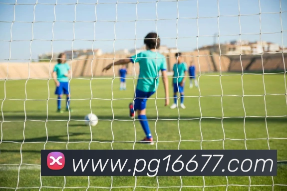 pg电子服务体系